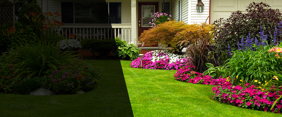 Kingsville Landscapers