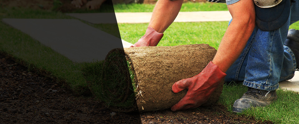 Kingsville Landscapers